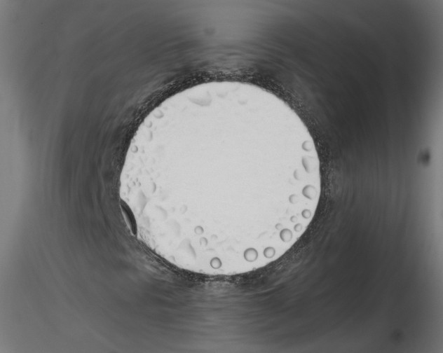 X0000116461297201001061030