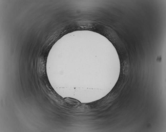 X0000116461298201001061030