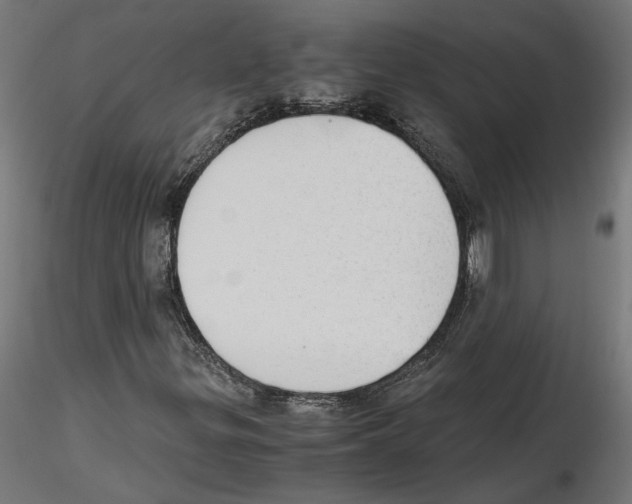 X0000116461299201001061030