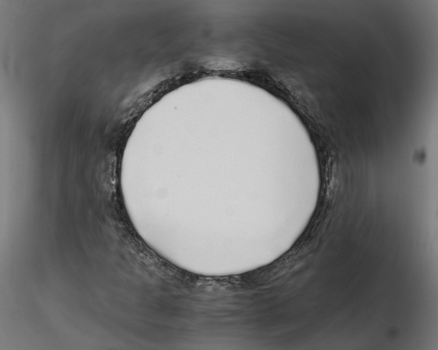 X0000116461301201001061030