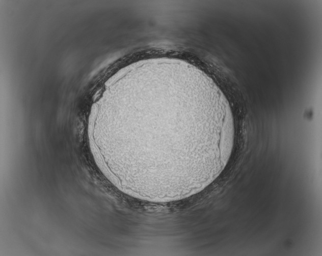 X0000116461302201001061030
