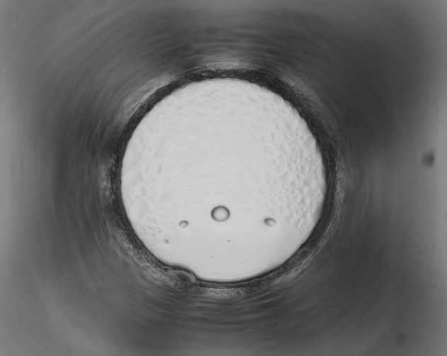 X0000116461305201001061030