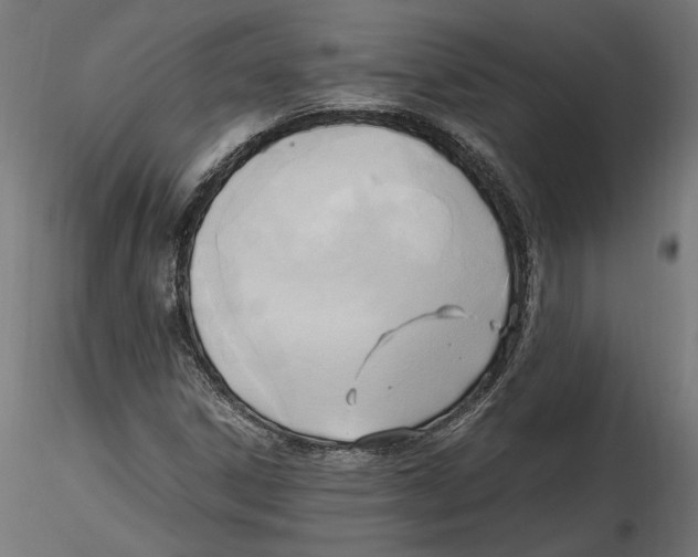 X0000116461306201001061030