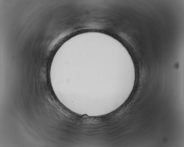 X0000116461307201001061030