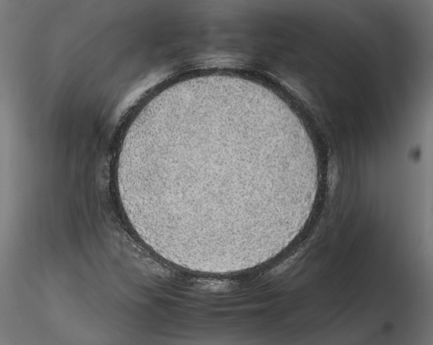 X0000116461309201001061030