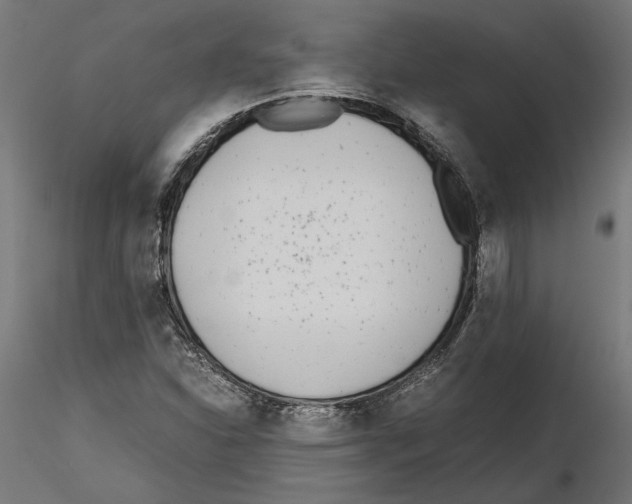 X0000116461310201001061030