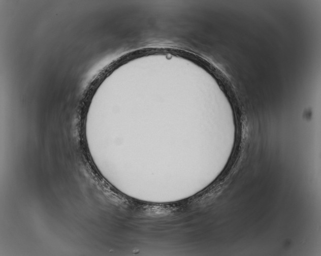 X0000116461311201001061030