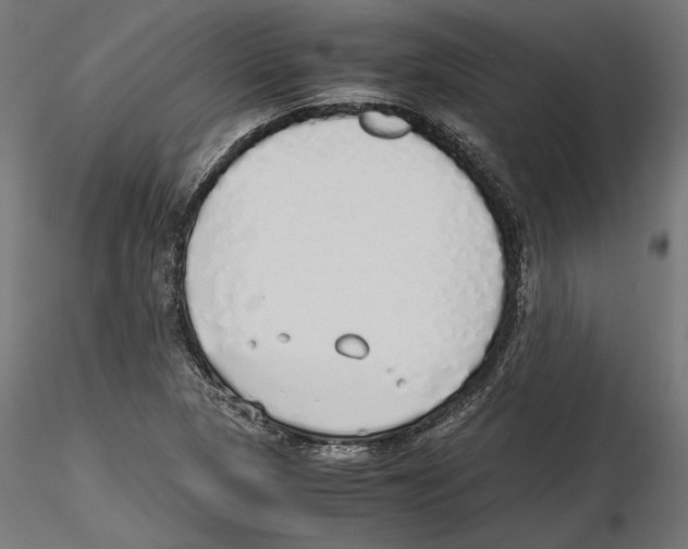 X0000116461313201001061030