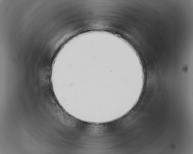 X0000116461314201001061030