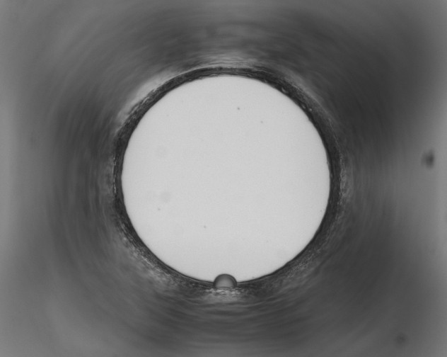 X0000116461315201001061030