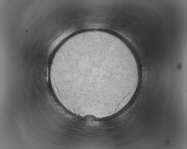 X0000116461317201001061030