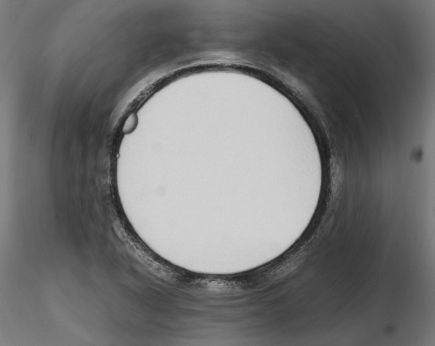 X0000116461318201001061030