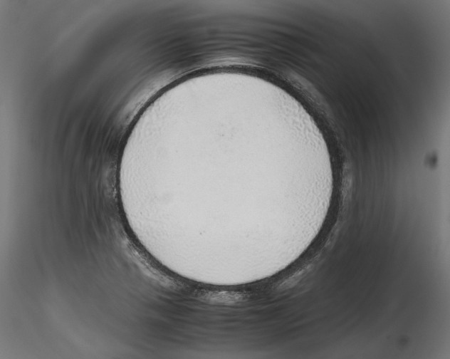 X0000116461321201001061030