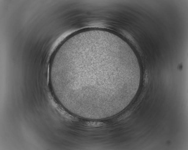 X0000116461323201001061030