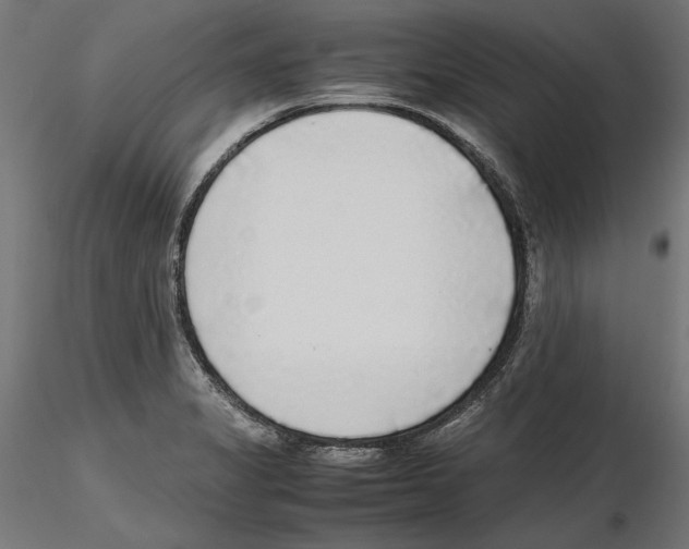 X0000116461325201001061030
