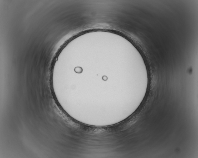 X0000116461326201001061030