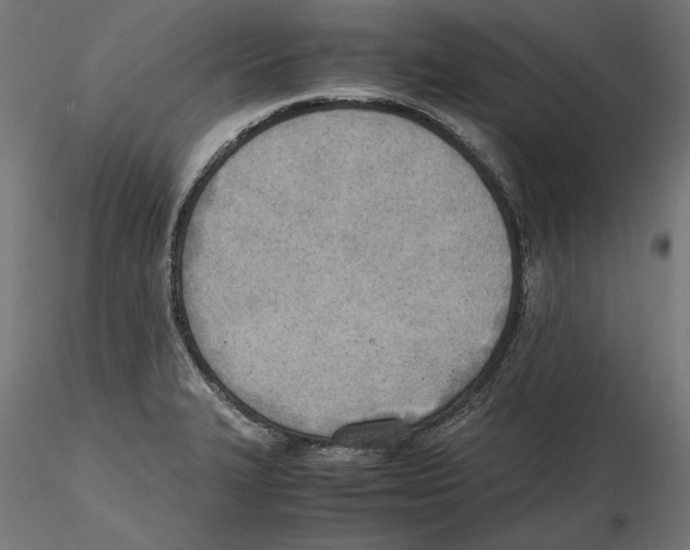 X0000116461327201001061030