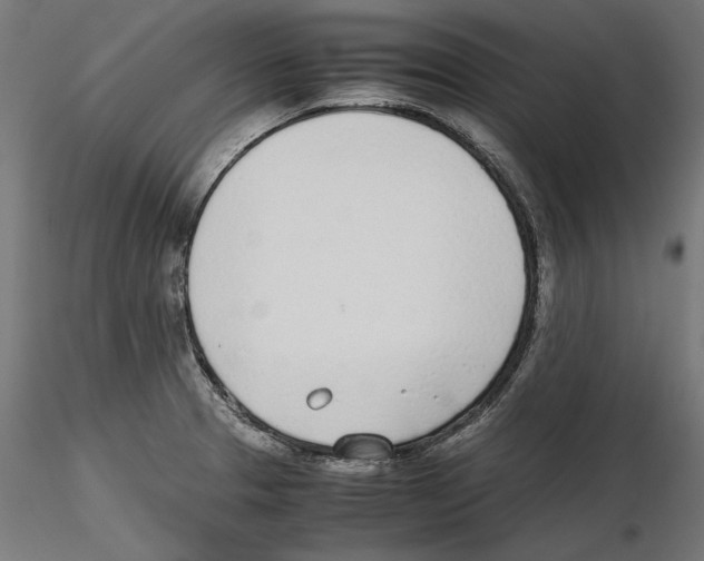 X0000116461329201001061030