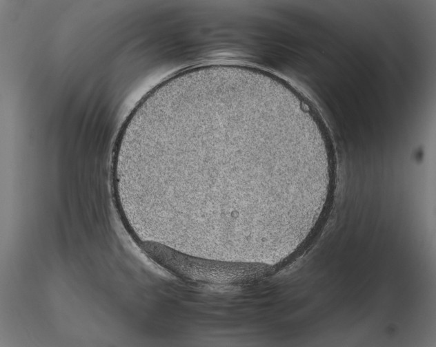 X0000116461333201001061030
