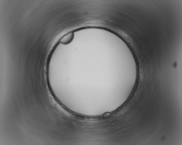 X0000116461334201001061030