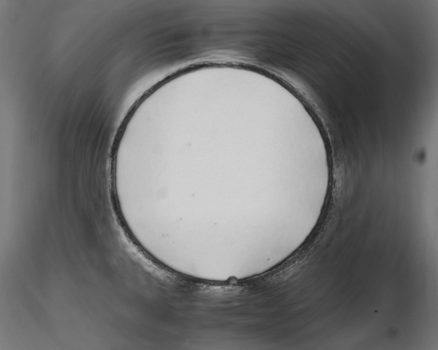 X0000116461335201001061030