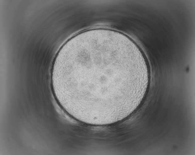 X0000116461341201001061030