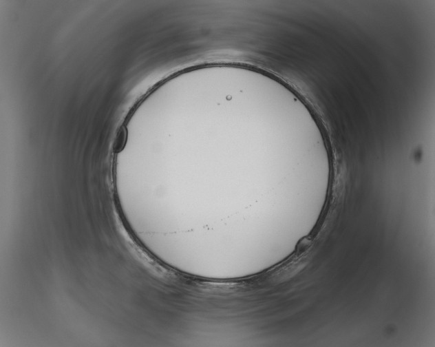 X0000116461342201001061030