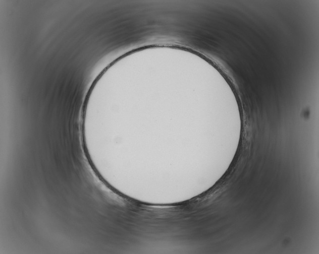 X0000116461343201001061030