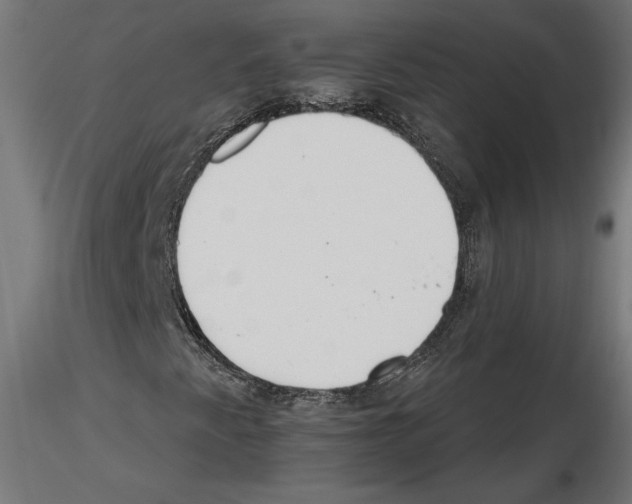 X0000116461345201001061030