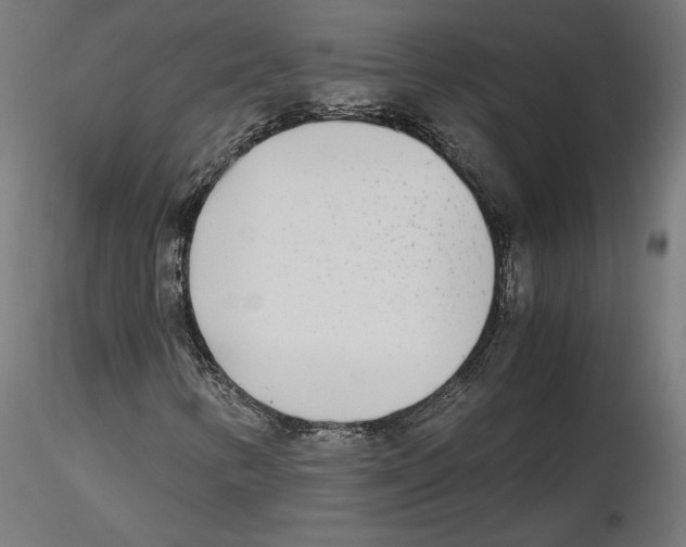 X0000116461346201001061030