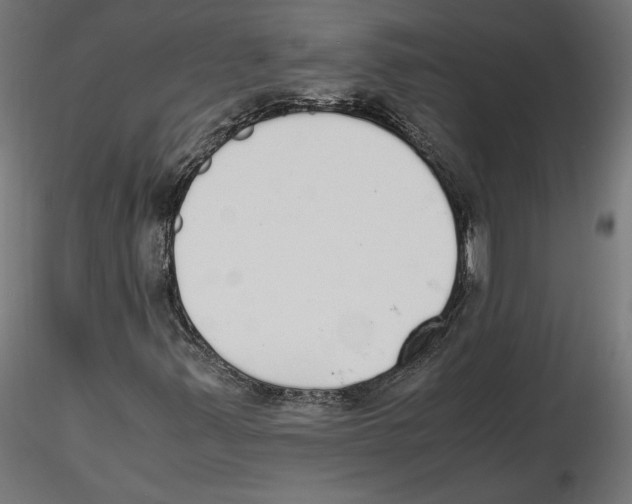 X0000116461347201001061030