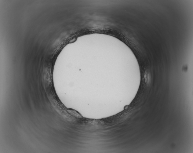 X0000116461348201001061030