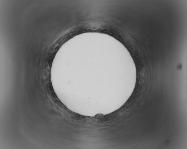 X0000116461349201001061029