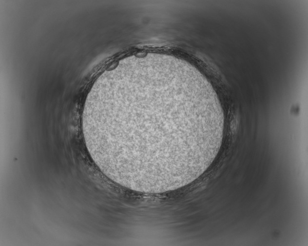 X0000116461350201001061029
