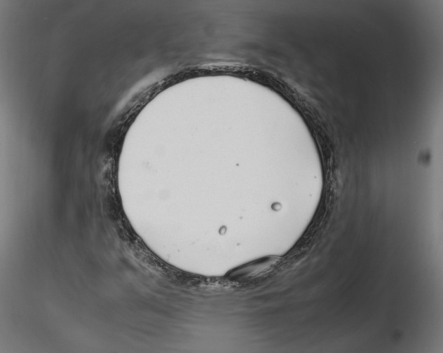 X0000116461351201001061029
