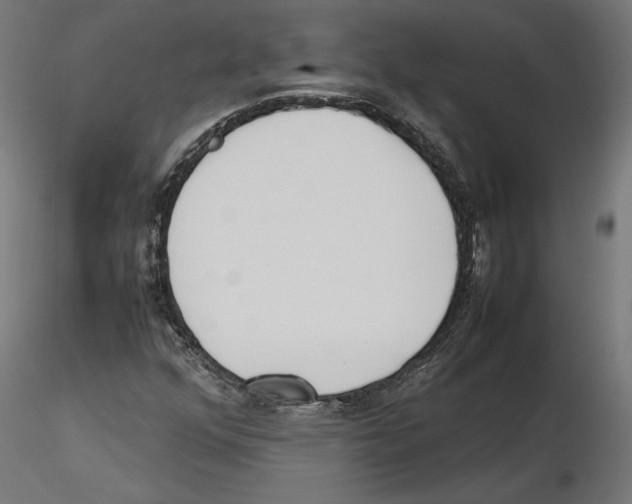 X0000116461352201001061029