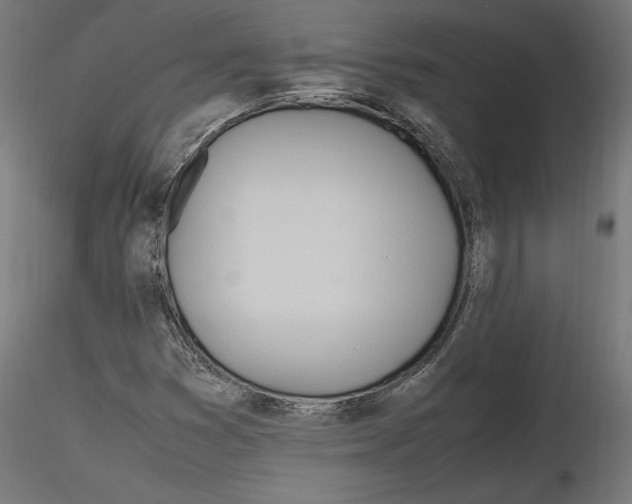 X0000116461353201001061029