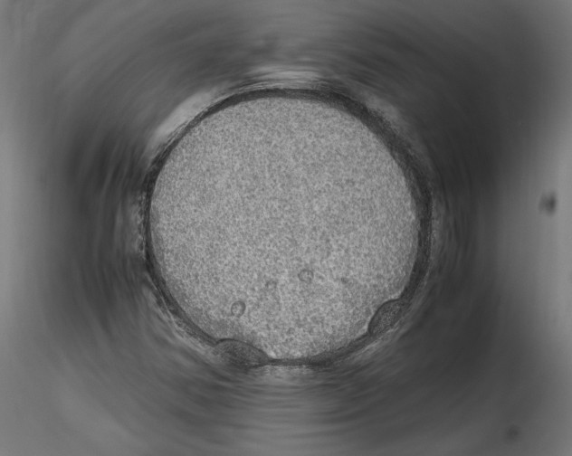 X0000116461354201001061029