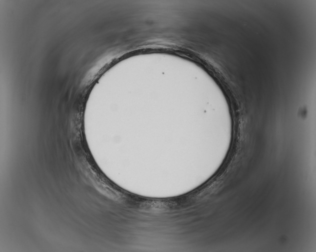 X0000116461355201001061029