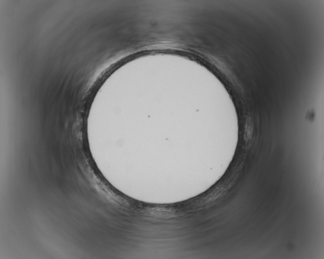 X0000116461356201001061029