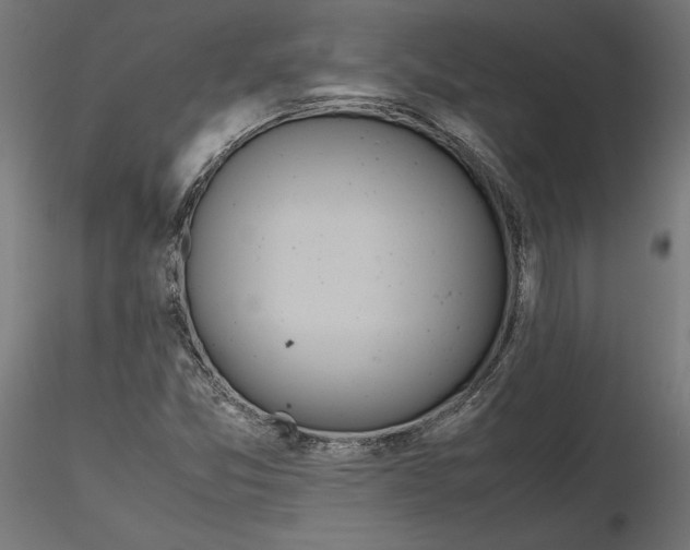 X0000116461357201001061029