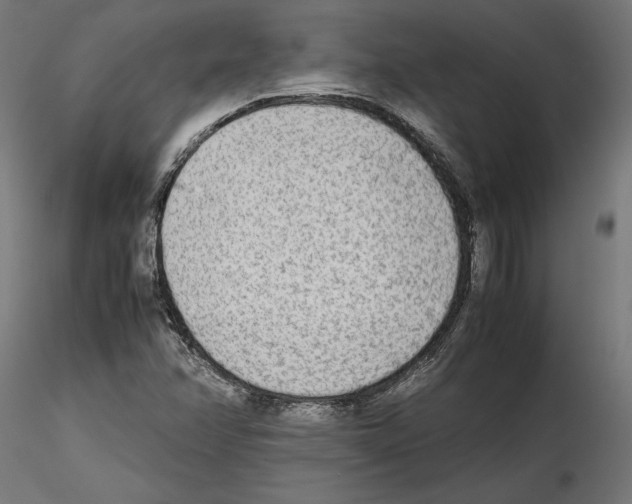 X0000116461358201001061029