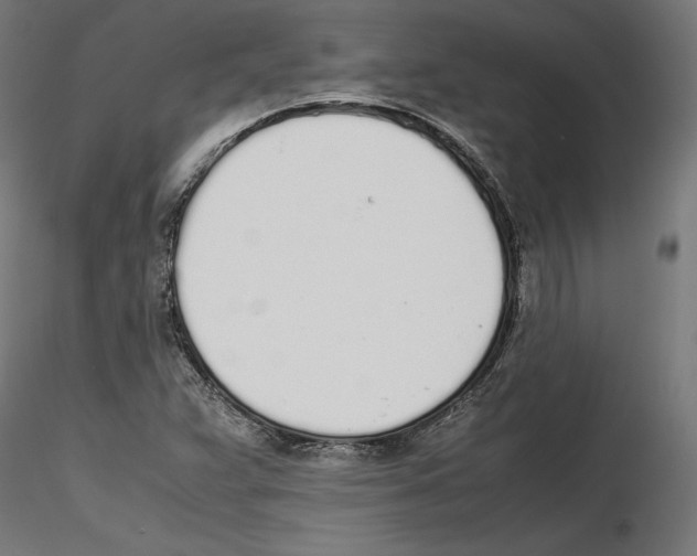 X0000116461359201001061029