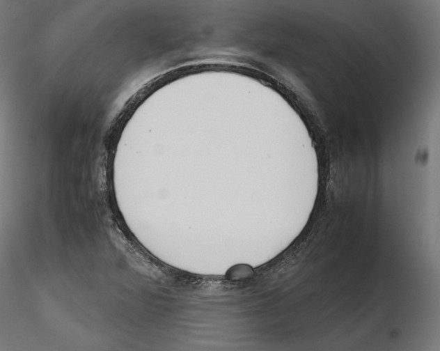 X0000116461360201001061029