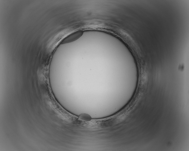 X0000116461361201001061029