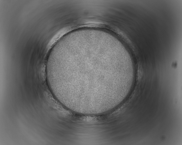 X0000116461362201001061029