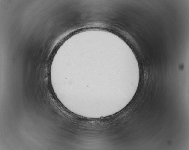 X0000116461364201001061029