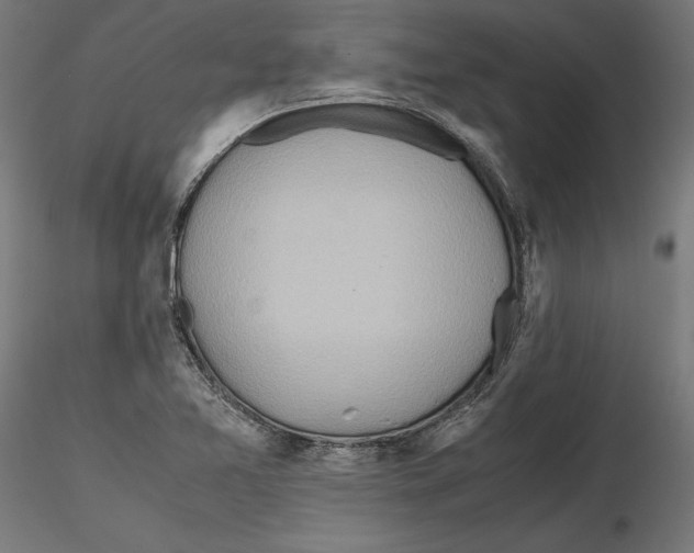 X0000116461365201001061029