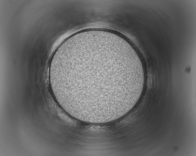 X0000116461366201001061029