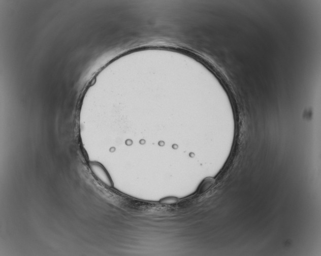 X0000116461367201001061029